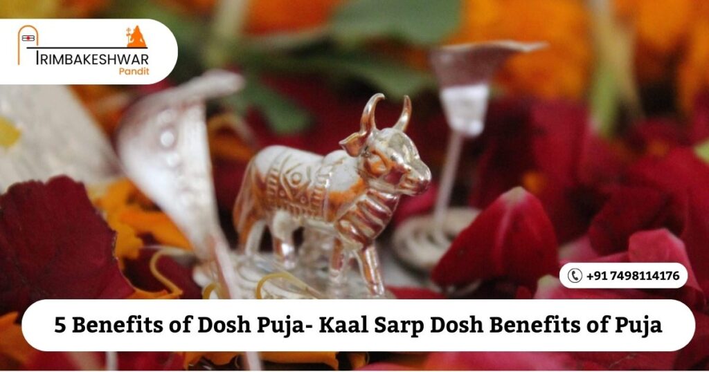 5 Benefits of Dosh Puja- Kaal Sarp Dosh Benefits of Puja
