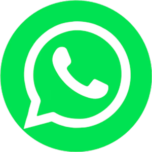 Whatsapp icon